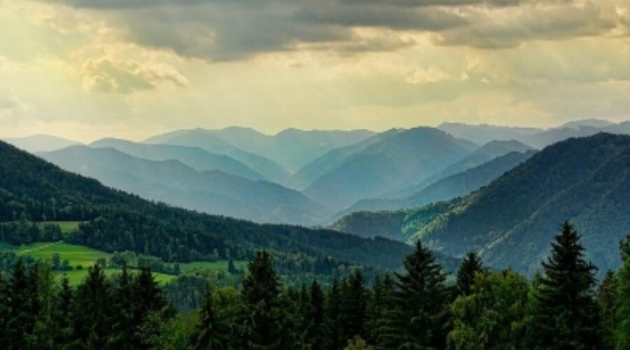 Widok na góry i lasy