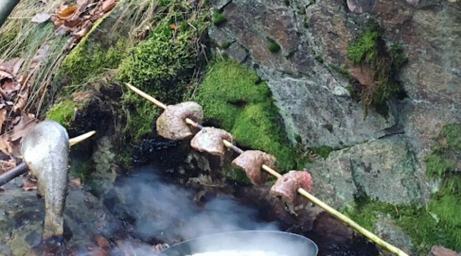 Gotowanie na świeżym powietrzu - ryby i steki