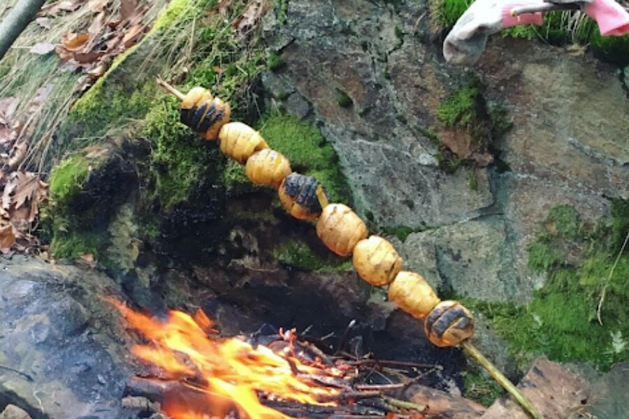 Gotowanie na ogniu - ziemniaki