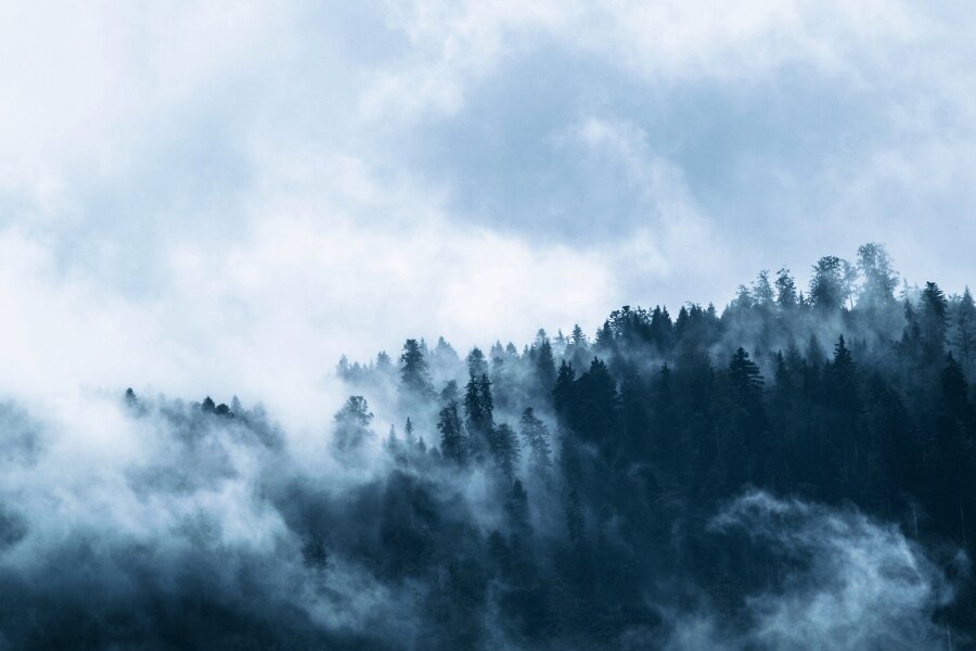 Natura zimą. Źródło: https://www.pexels.com/cs-cz/foto/ryma-svetly-krajina-hory-167699/
