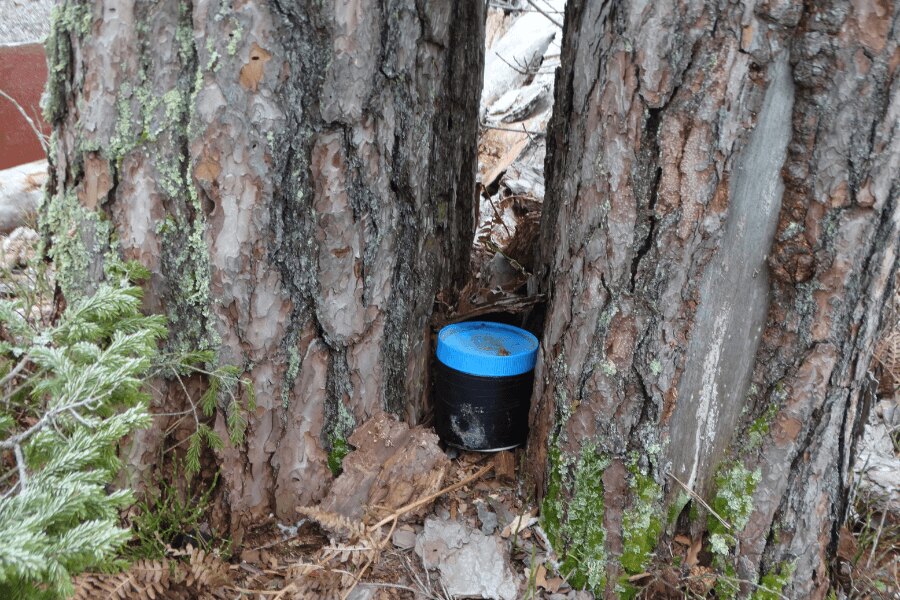 Geocaching, skrytka schowana przy drzewie. źródło: https://commons.wikimedia.org/wiki/File:Geocaching_indelis,_Zypli%C5%B3_pu%C5%A1is.JPG