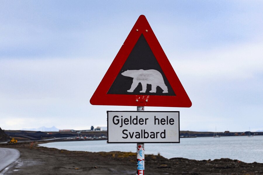 Spitsbergen, Norwegia. Zdroj: https://pixabay.com/cs/photos/%C5%A1picberky-skandin%C3%A1vie-severn%C3%AD-4763129/