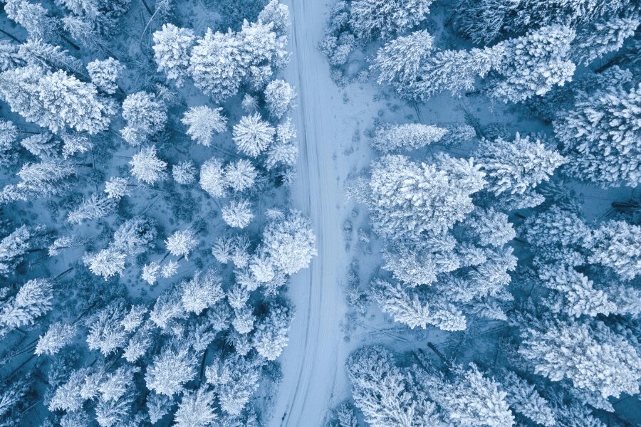 Zaśnieżony las, widok z drona. Źródło: https://www.pexels.com/cs-cz/foto/1438761/