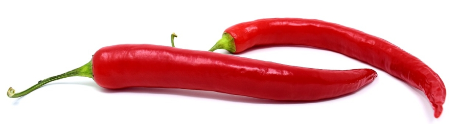 Papryczka chili
