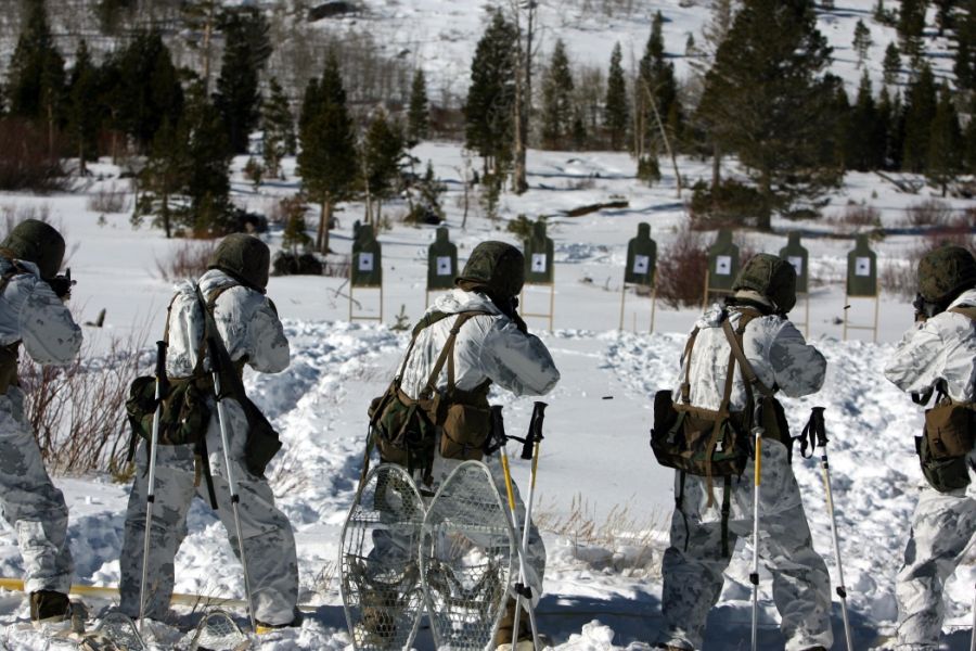Wzór maskujący MARPAT™ - Winter i Snow camo