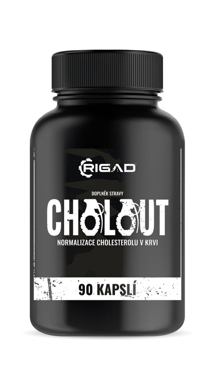 Cholout - Normalizacja cholesterolu we krwi Rigad®