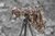 Maskująca arafatka Optic Camo Ghosthood® IRR