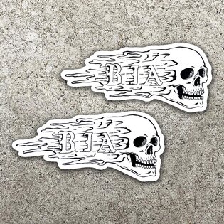 Naklejka Skull Brothers In Arms®