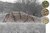 Siatka maskująca Camo Net 6×8,5 m Ghosthood® IRR