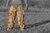 Spodnie maskujące Ghost Legs Ghosthood® IRR