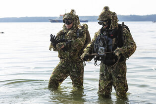 Strój maskujący Diver Camo Ghosthood® IRR