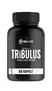 Tribulus Terrestris / kotvičník - Ekstrakt z owoców z 90 % saponin Rigad®
